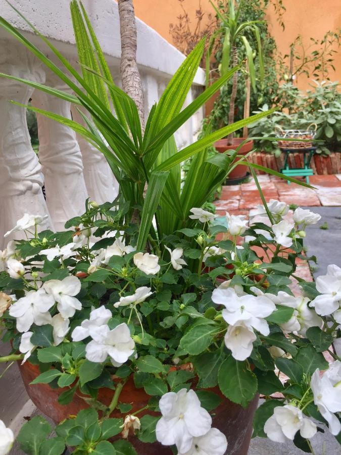 Residenza Di Prestigio In Riva Al Lago Marone Loft エクステリア 写真